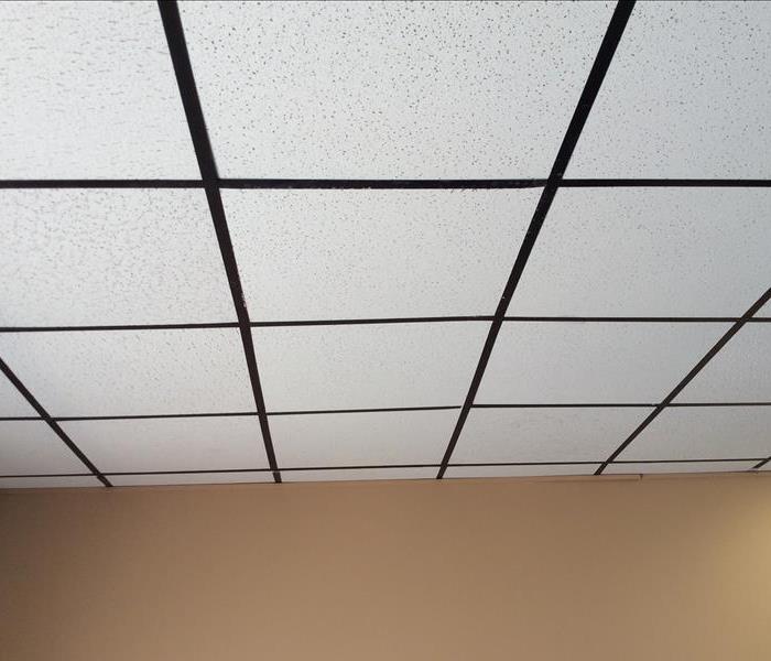 After growth was cleaned off of ceiling tile 
