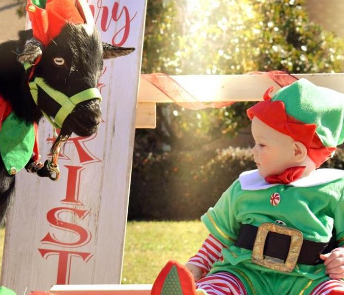 Child dressed in an elf costume, pictured with a goat, also in an elf costume.